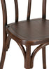 Bentwood Resin Chair Fruitwood Standard Seat CBRF-ZG-T