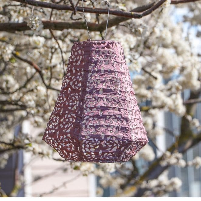 Allsop Metallic Orchid Allsop Prism 10