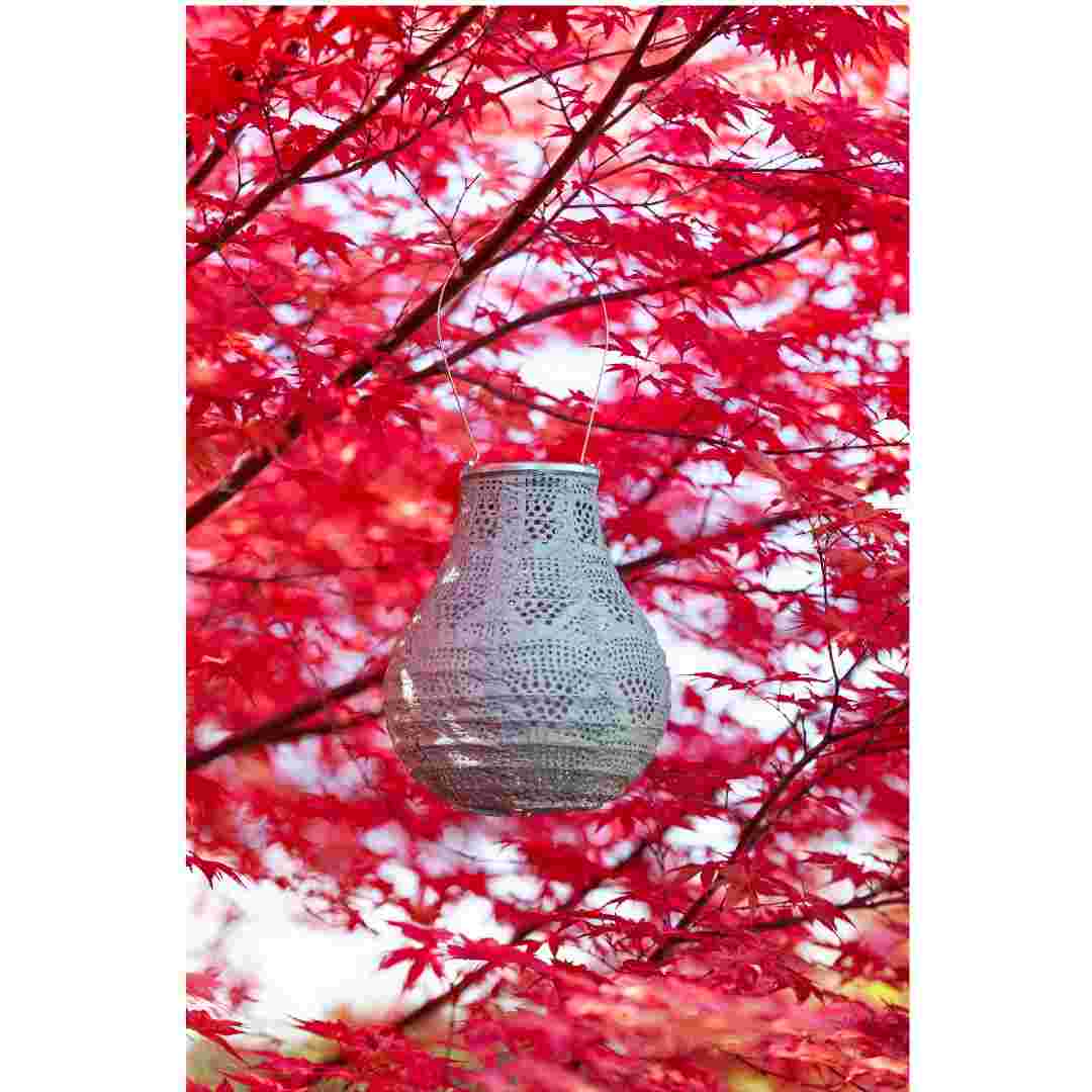 Allsop Sage Allsop 8" Handblown Glass Bulb Solar Lantern ASP-32510