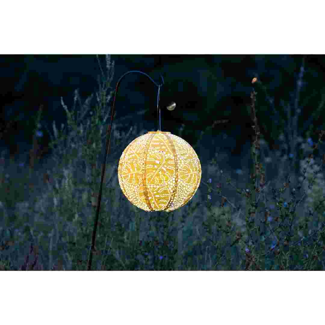 Allsop Marigold Allsop Monstera 12