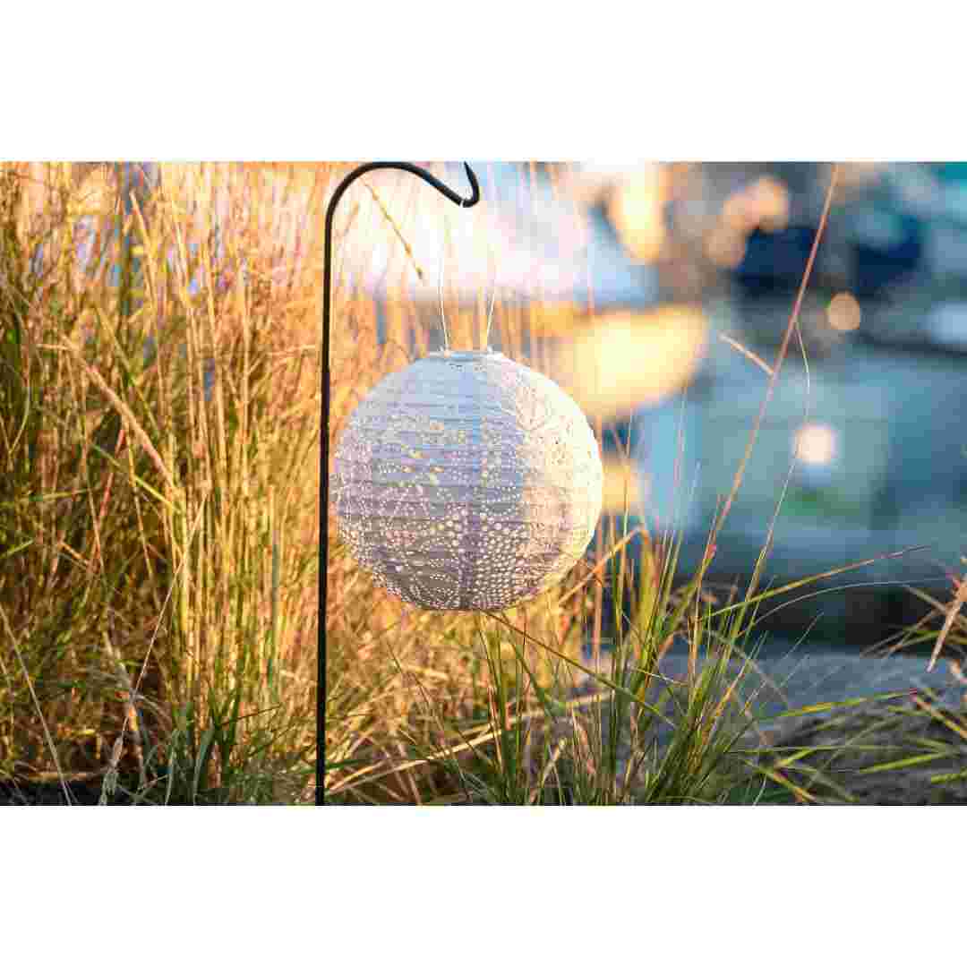 Allsop Porcelain Allsop Monstera 12