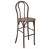 Fruitwood Resin Steel Skeleton™  Bentwood Barstool  - 2 Pack - Some Assembly Required