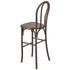 Fruitwood Resin Steel Skeleton™  Bentwood Barstool  - 2 Pack - Some Assembly Required