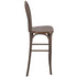 Fruitwood Resin Steel Skeleton™  Bentwood Barstool  - 2 Pack - Some Assembly Required