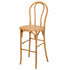 Chivari Natural Resin Steel Skeleton™  Bentwood Barstool - 2 Pack - Some Assembly Required BBRN-KD-ST-AX-2