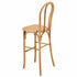 Chivari Natural Resin Steel Skeleton™  Bentwood Barstool - 2 Pack - Some Assembly Required BBRN-KD-ST-AX-2