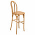 Chivari Natural Resin Steel Skeleton™  Bentwood Barstool - 2 Pack - Some Assembly Required BBRN-KD-ST-AX-2