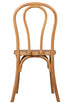 Natural Resin Bentwood Chair