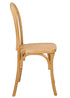 Natural Resin Bentwood Chair with Rattan Back