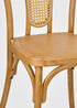Natural Resin Bentwood Chair with Rattan Back