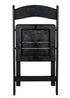 Black with Black Vinyl Cushion Resin Steel Skeleton™ Folding Chair