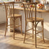Chivari Chestnut Resin Steel Skeleton™ Willow Barstool - 2 Pack - Some Assembly Required BWRC-KD-ST-AX-2