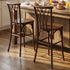 Chivari Fruitwood Resin Steel Skeleton™ Willow Barstool - 2 Pack - Some Assembly Required BWRF-KD-ST-AX-2
