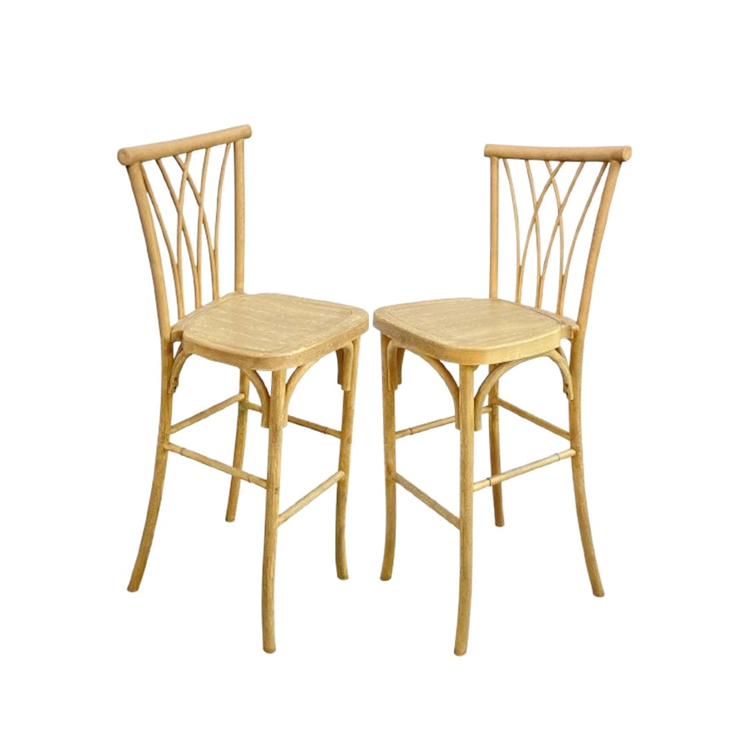 Chivari Natural Resin Steel Skeleton™  Willow Barstool - 2 Pack - Some Assembly Required BWRN-KD-ST-AX-2
