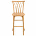 Chivari Natural Resin Steel Skeleton™  Willow Barstool - 2 Pack - Some Assembly Required BWRN-KD-ST-AX-2