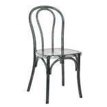 Clear Smoke Resin Bentwood Chair