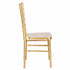 Chivari Gold Bullion Resin Steel Skeleton™ Chiavari Chair with Color Core CCRGBCC-ST-A