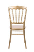Chivari Gold Steel Skeleton™ Resin Napoleon Chair CNRG-STEEL-CX-T