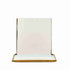 Chivari Melissa Chair in Gold Stainless Steel Frame with White Cushion Seat and Back CMMG-WHI-KIT-AX