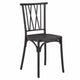 Chivari Black Willow Mono Frame Resin Chair CWPB-ZG