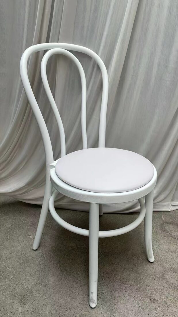 Cool White Resin Bentwood Festive Chair