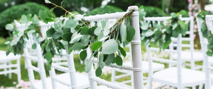 White Chiavari Chairs