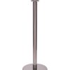 Chrome Stanchion