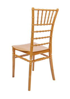 Gold BasicResin Chiavari Chair by Chivari CCPG-V22-SG-T Back