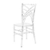 Chameleon Resin Clear Chiavari Chair by Chivari Back CCMRC-ZG-T