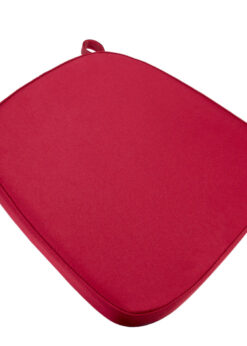 Burgundy Velcro Strap Cushion