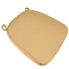 Gold Velcro Strap Cushion