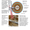 Inside the Steel Skeleton infographic