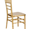 Chair Chiavari Bullion Gold Resin “Steel Skeleton” by Chivari, with Protective Cover CCRGB-STEEL-AX-T