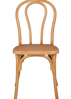 Bentwood Natural Resin Chair CBRN-ZG-T