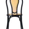 Black Bentwood Resin Chair with Natural Rattan Back and Natural Rattan Seat CBRB-RR-ZG-T