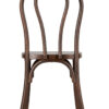 Bentwood Resin Chair Fruitwood Standard Seat CBRF-ZG-T